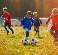 期双色球,独家精研,红球,重庆体彩,重庆体彩网,重庆体彩网官网,体育彩票,体彩大乐透,竞彩足球,体彩公益