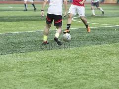 中彩风云,期排列,独家攻略,重庆体彩,重庆体彩网,重庆体彩网官网,体育彩票,体彩大乐透,竞彩足球,体彩公益