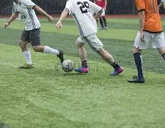 稳中求胜秘,揭秘大乐透,期必中策略,重庆体彩,重庆体彩网,重庆体彩网官网,体育彩票,体彩大乐透,竞彩足球,体彩公益