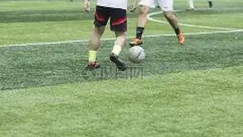 [激情揭晓]双色球2026012期红球号码预测，全年爱心奉献不间断！